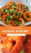 hunan shrimp p1