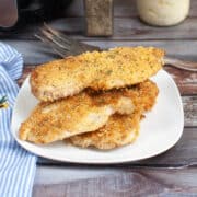 parmesan crusted chicken air fryer 12x